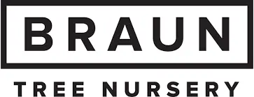 braun logo